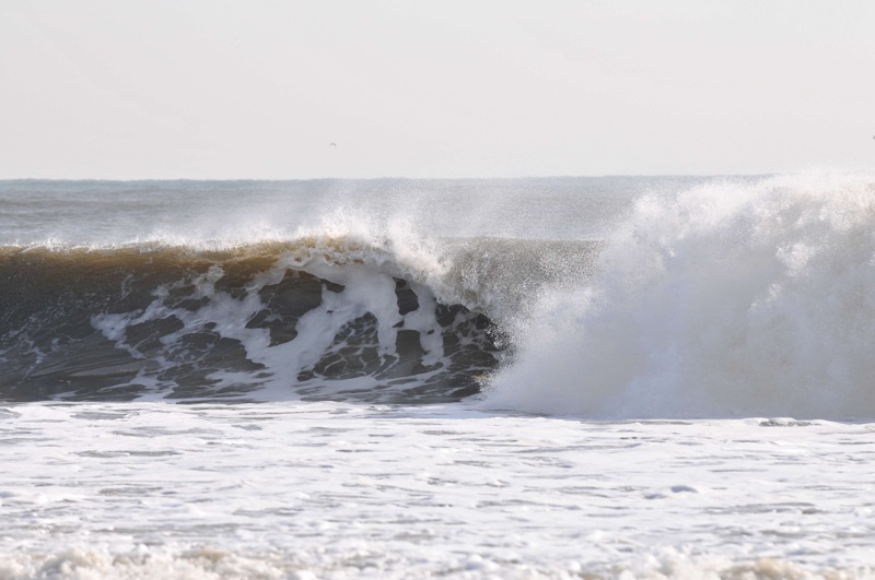 th_DSC_1438
