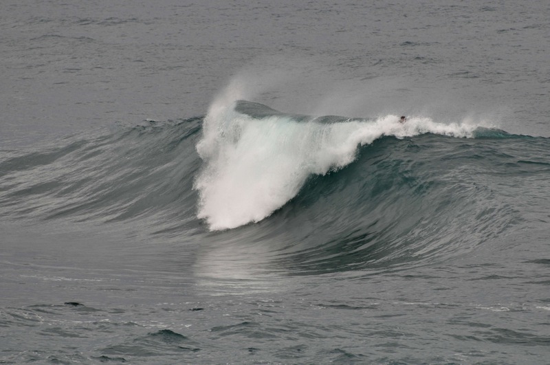 th_DSC_2208