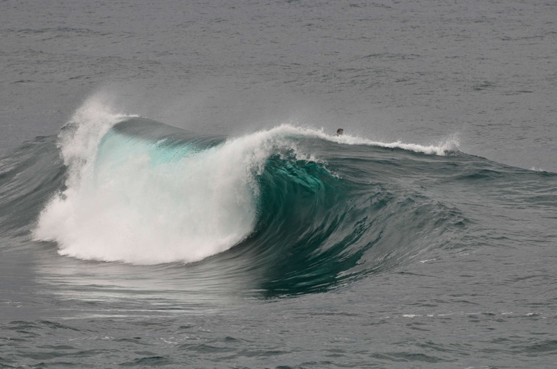 th_DSC_2209