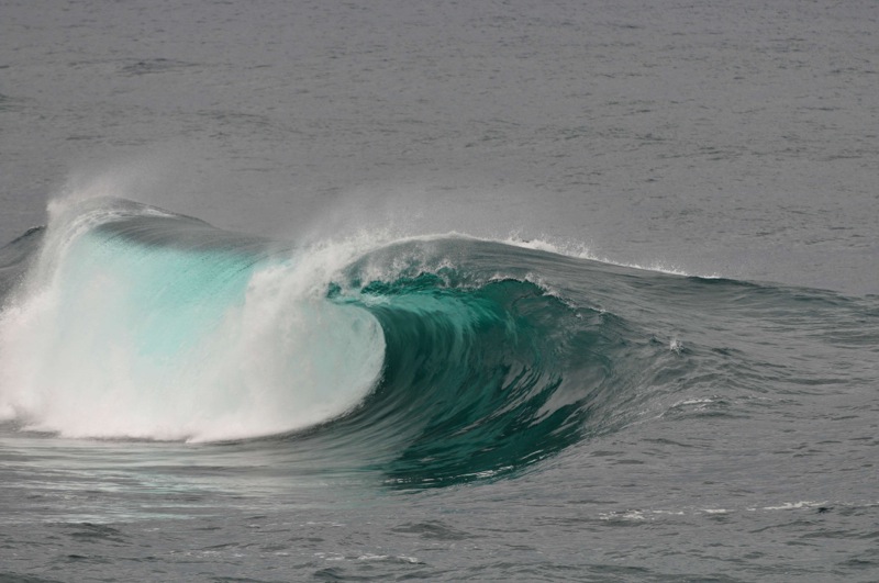 th_DSC_2210
