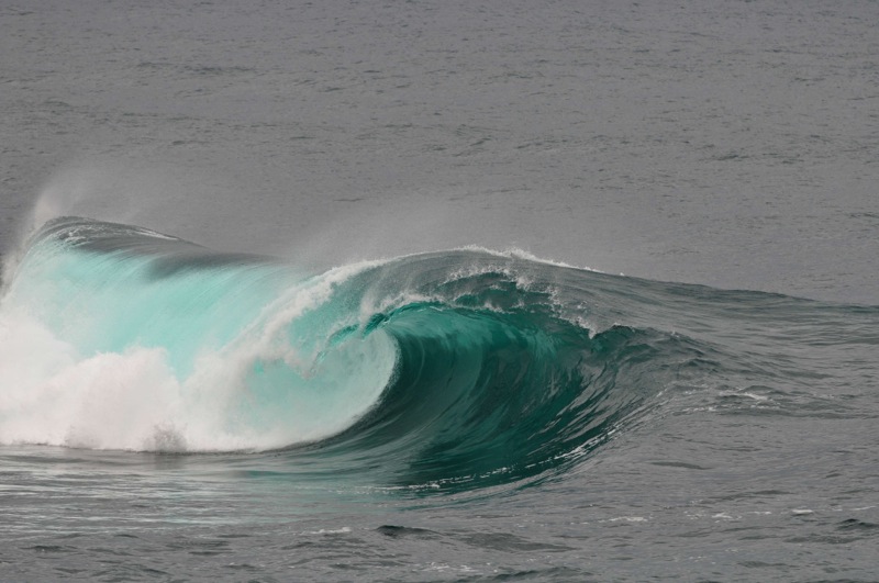 th_DSC_2211