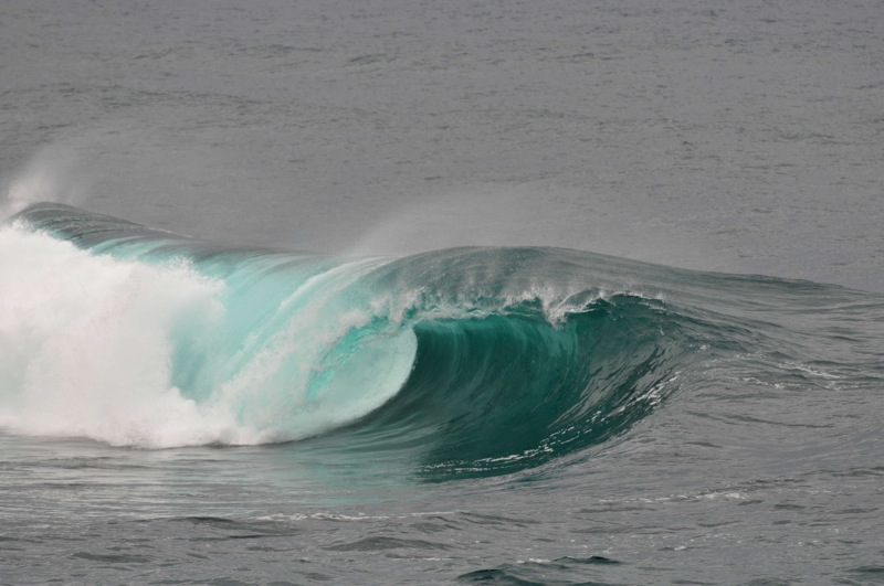 th_DSC_2212