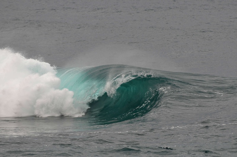 th_DSC_2213
