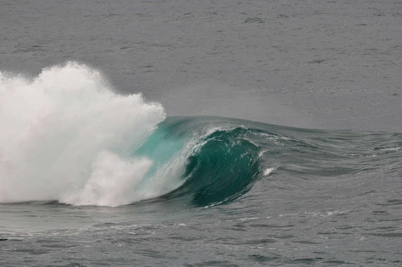 th_DSC_2214