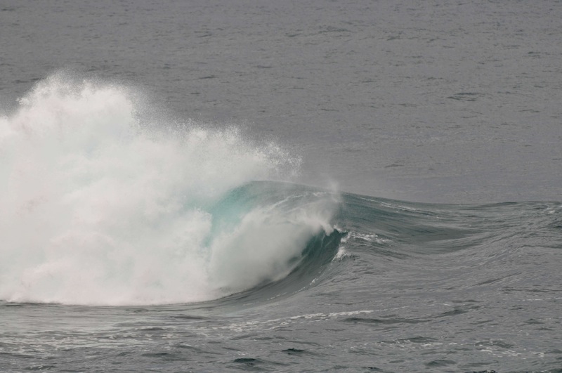 th_DSC_2215