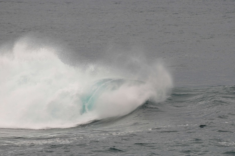 th_DSC_2216