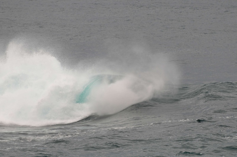 th_DSC_2217