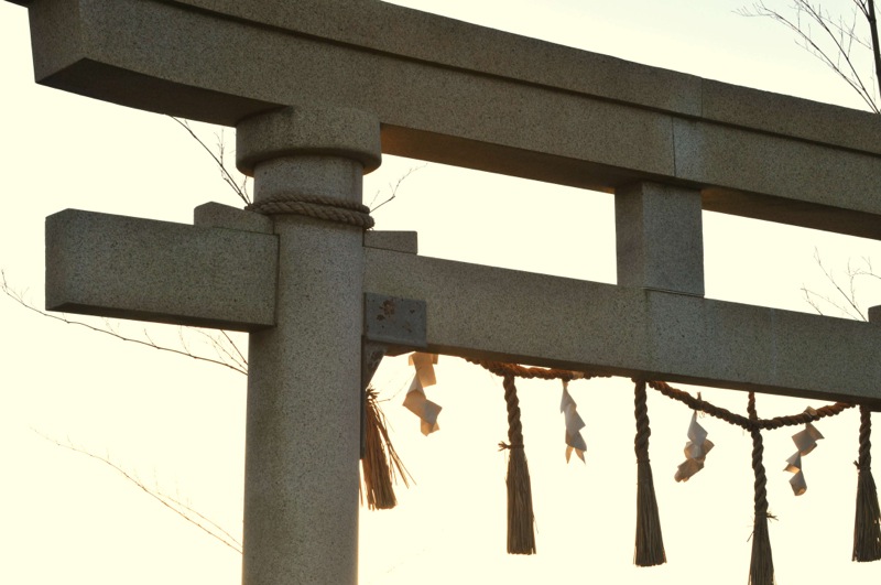 th_DSC_7563