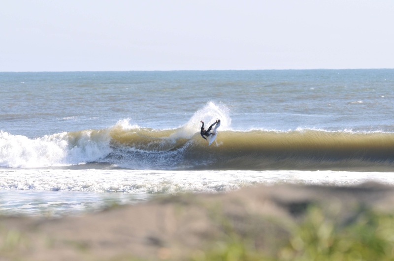 th_DSC_7846