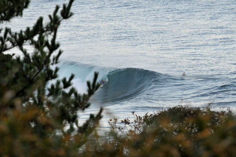 th_DSC_2246