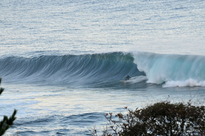 th_DSC_2254