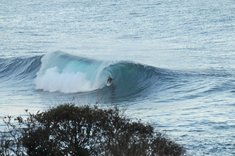th_DSC_2292