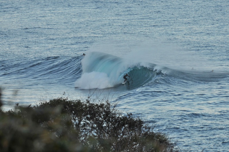 th_DSC_2301