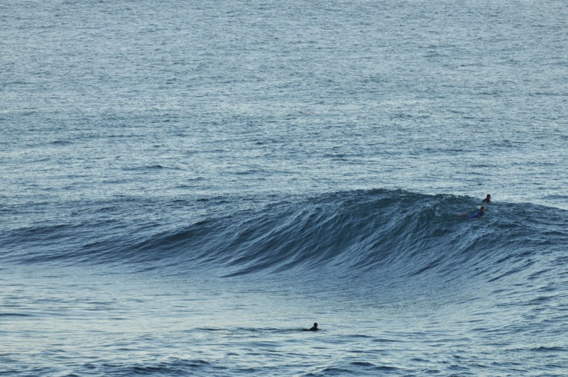 th_DSC_2329