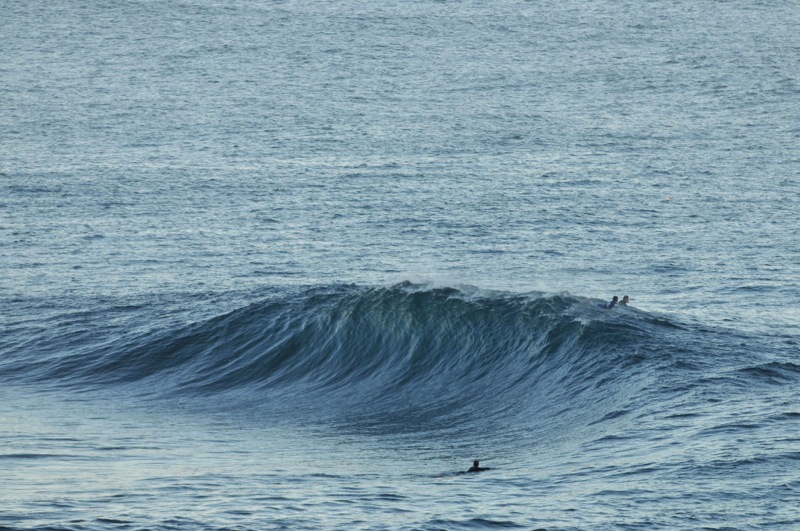 th_DSC_2330