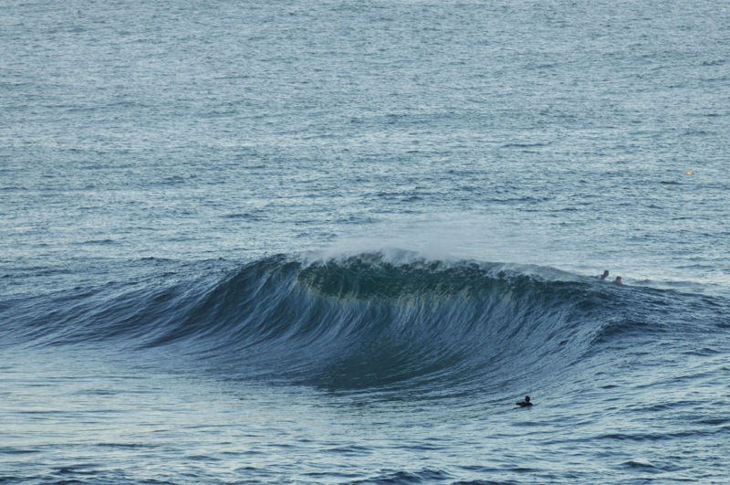 th_DSC_2331