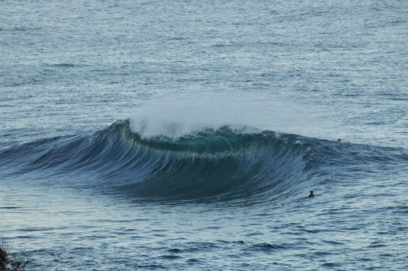 th_DSC_2332