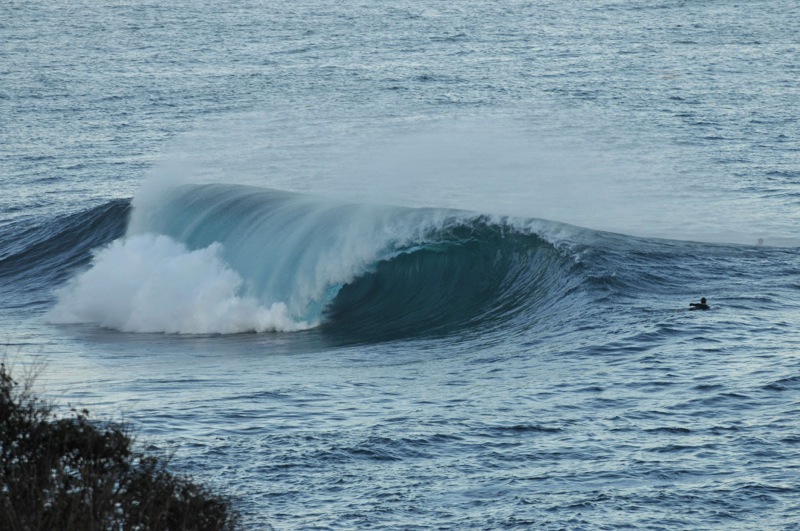 th_DSC_2334
