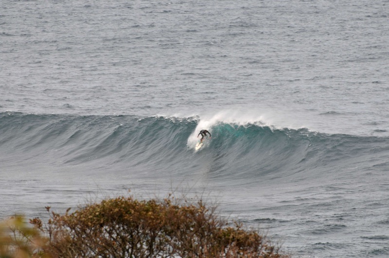 th_DSC_2354