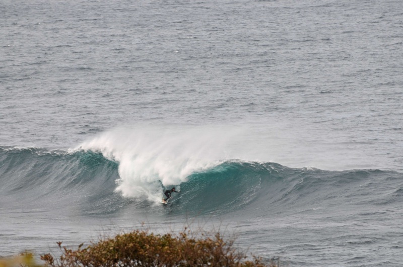 th_DSC_2356