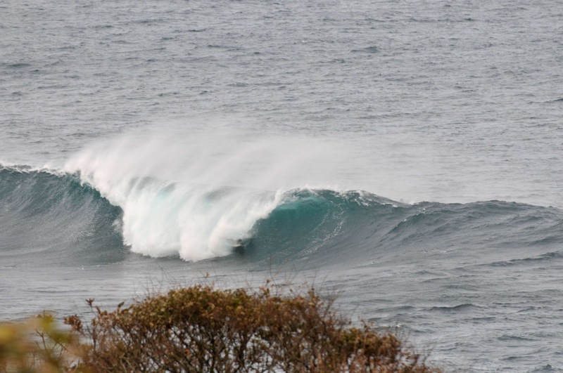 th_DSC_2357