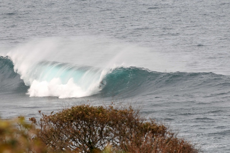 th_DSC_2358