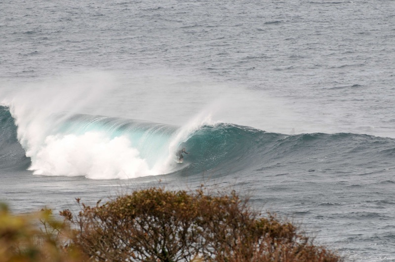 th_DSC_2359