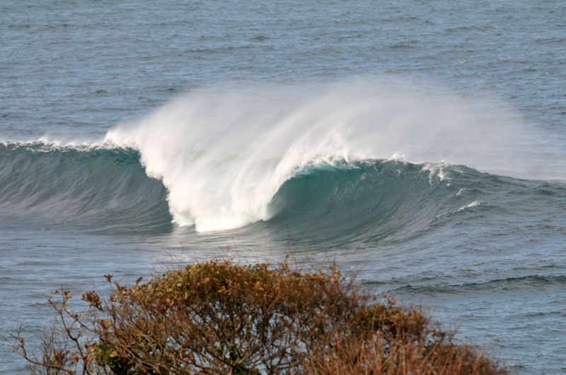 th_DSC_2402