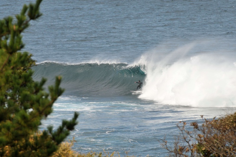 th_DSC_2414
