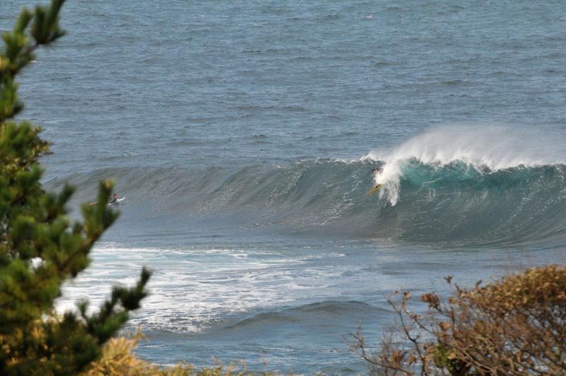 th_DSC_2417