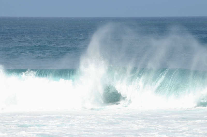 th_DSC_4583