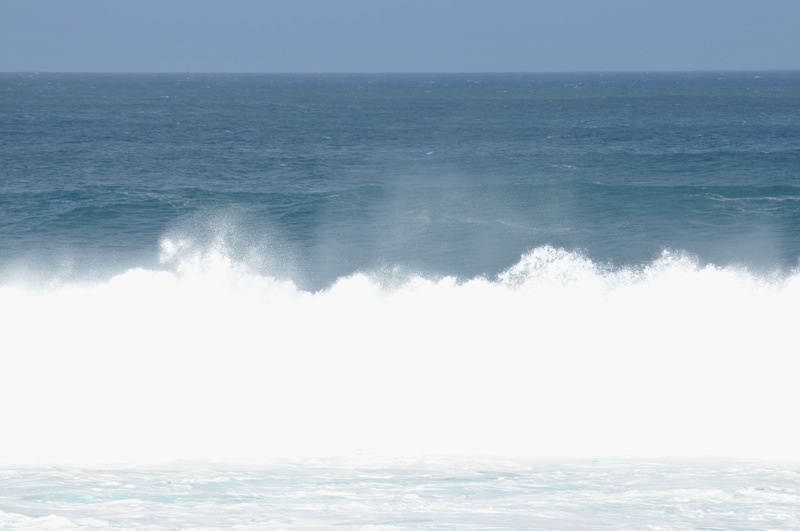th_DSC_4585