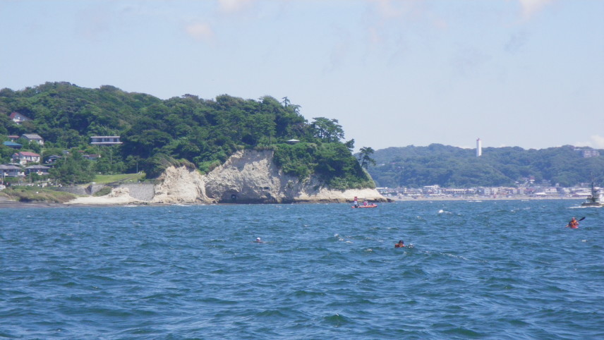 鎌倉の沖から見た美しい森