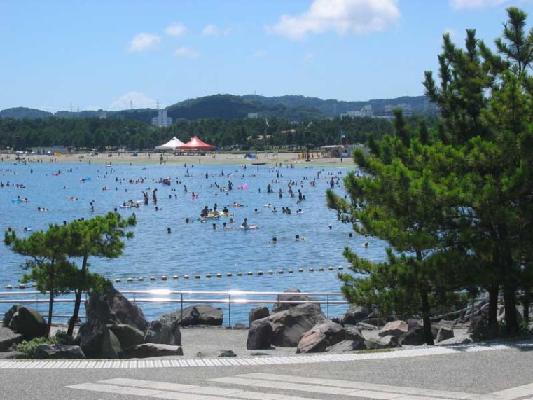 海の公園の緑地デザイン