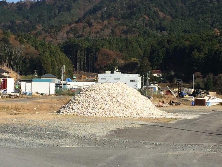 小さな漁村でも、ところどころにこういった牡蠣の殻を積み上げた小山が点在しています。試しに近寄ると臭いが強烈で、食欲も失せます。（笑）でも牡蠣が美味しいのは勿論です。