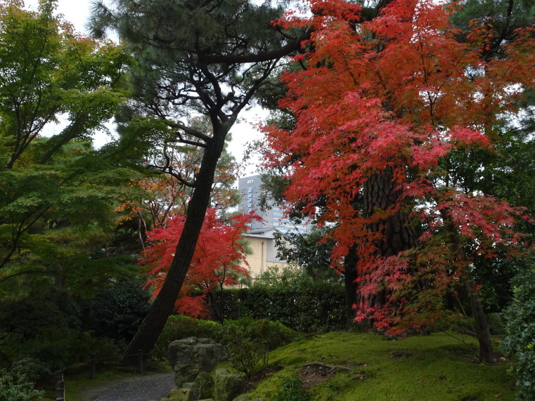 城南宮の美しい庭園から見えた京セラの本社ビル