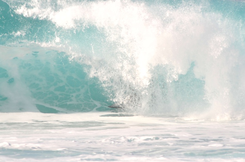 th_DSC_5384