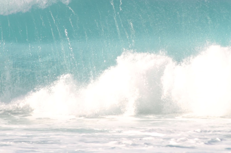 th_DSC_5386
