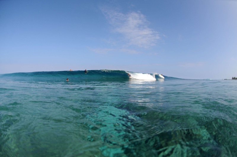 th_DSC_6633