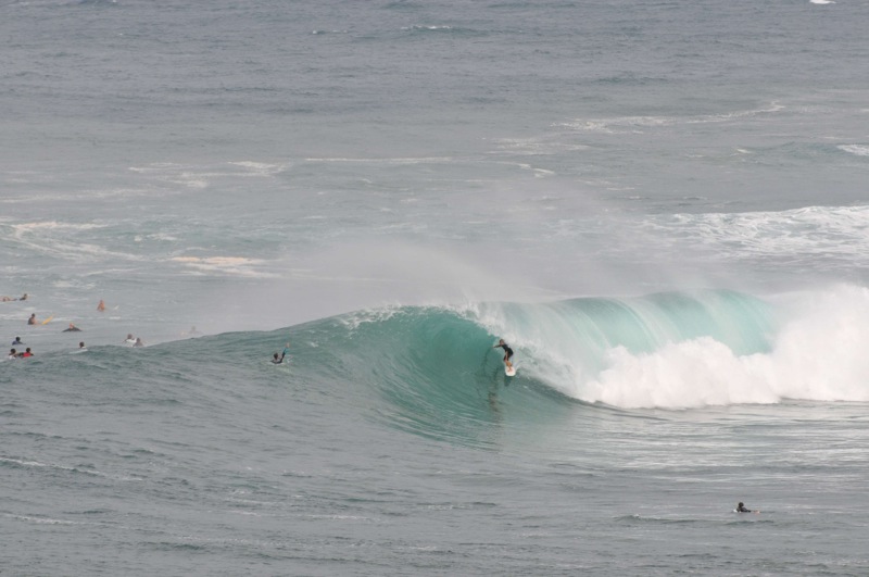 th_DSC_3129
