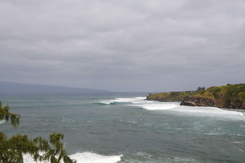 th_DSC_3710