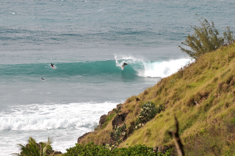 th_DSC_3821
