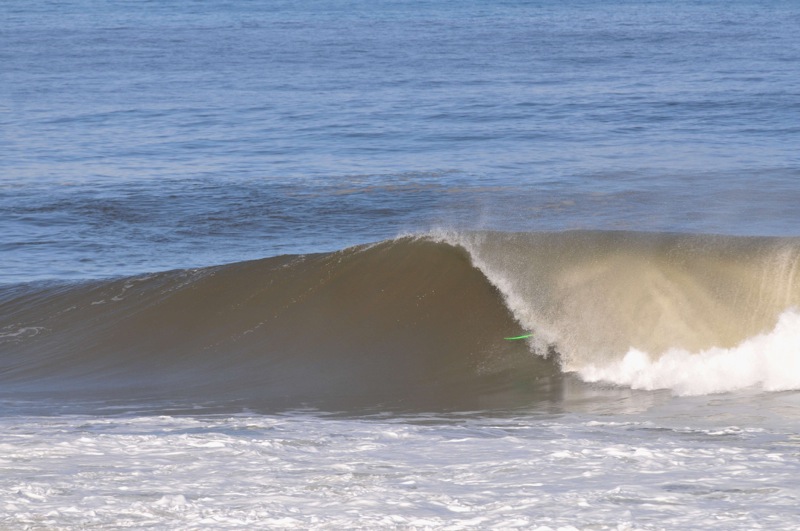 th_DSC_7972
