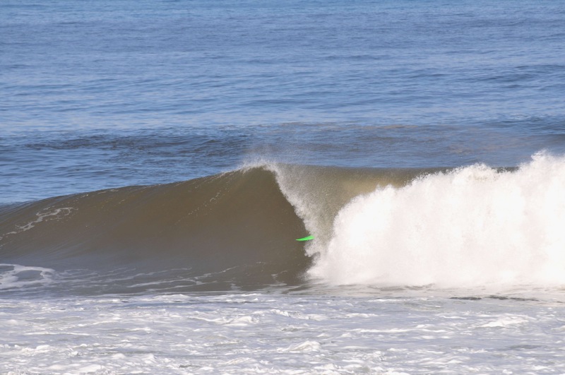 th_DSC_7973