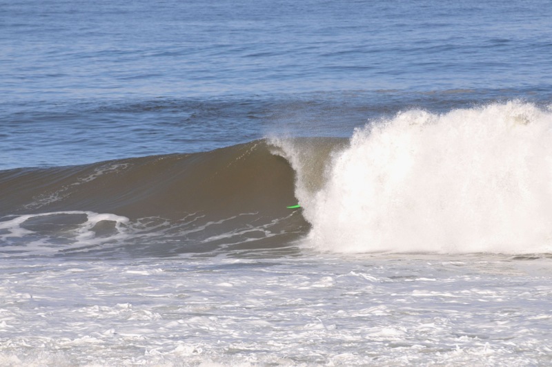 th_DSC_7974