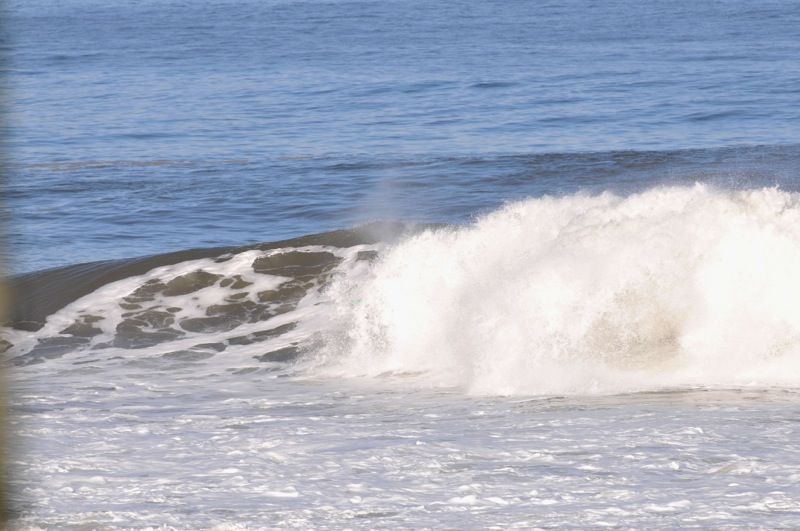 th_DSC_7976