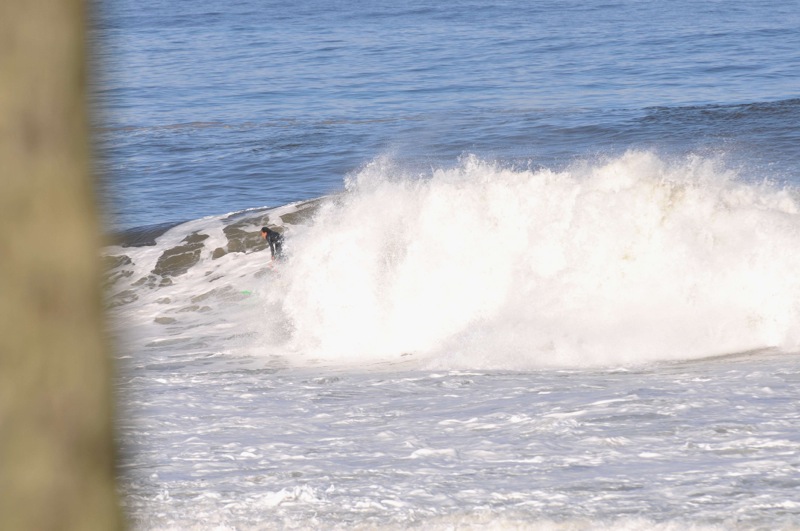 th_DSC_7977
