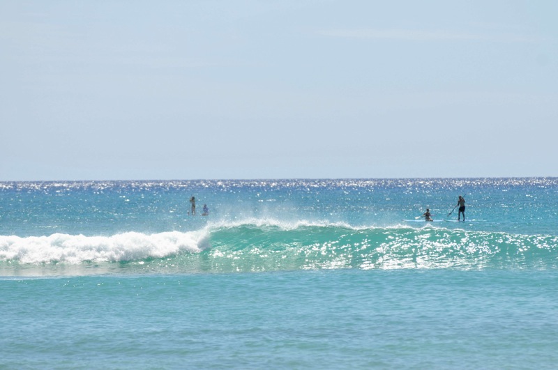 th_DSC_8662