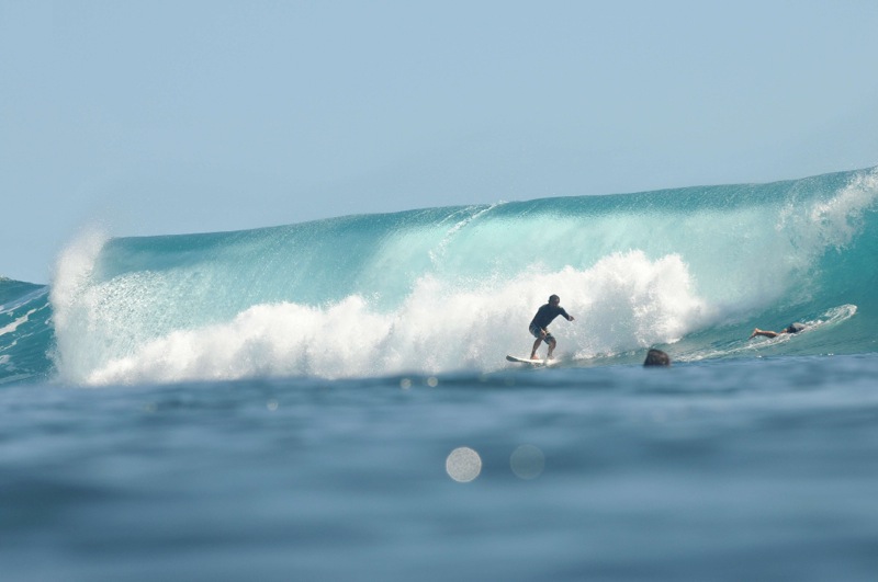th_DSC_2161
