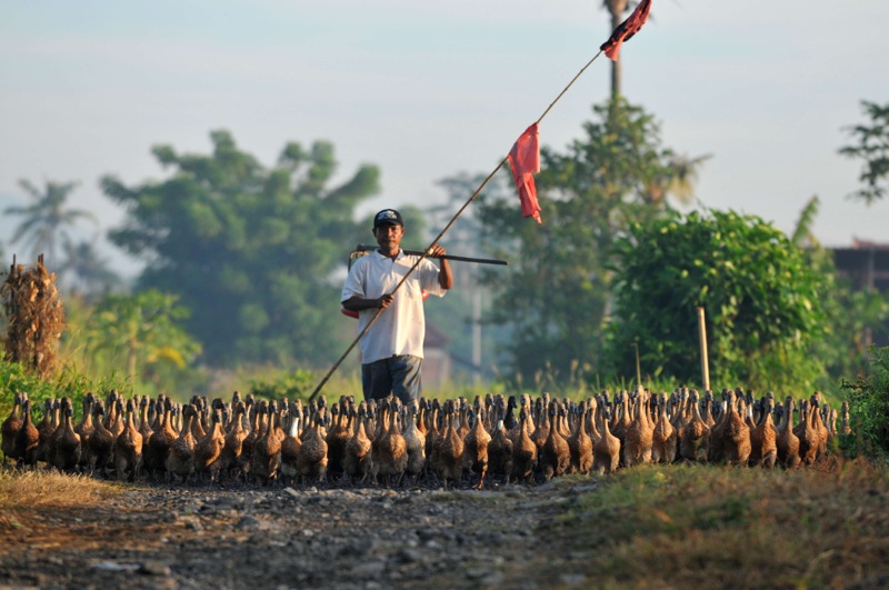 th_DSC_3795